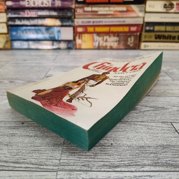 CHINDERA Nancy Cato 1976 Dell 1st Print Paperback Historical Fiction Brown Sugar - Picture 10 of 14